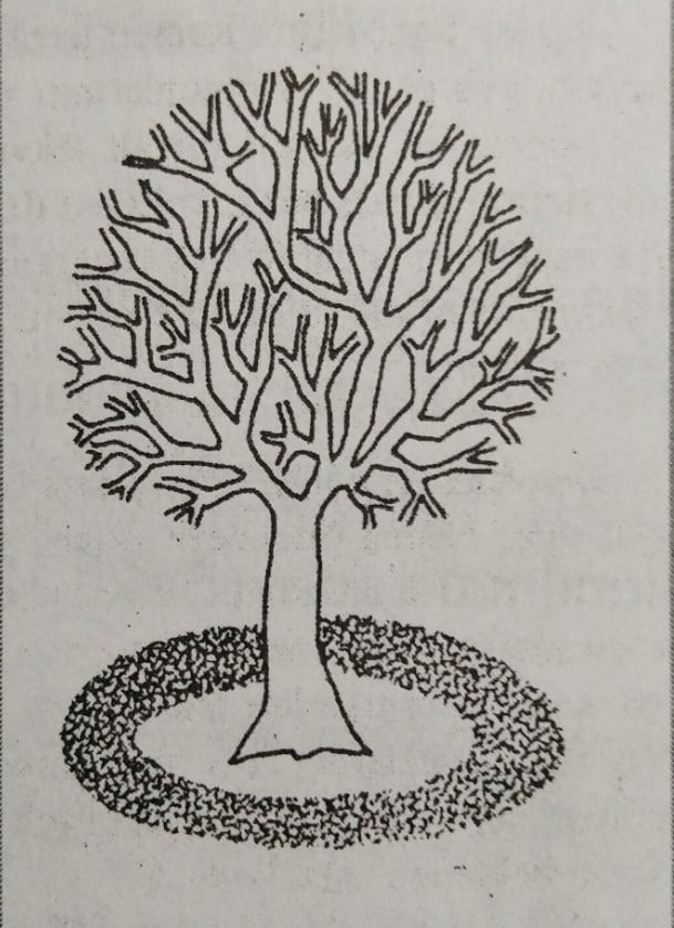 Gübreleme Yöntemleri