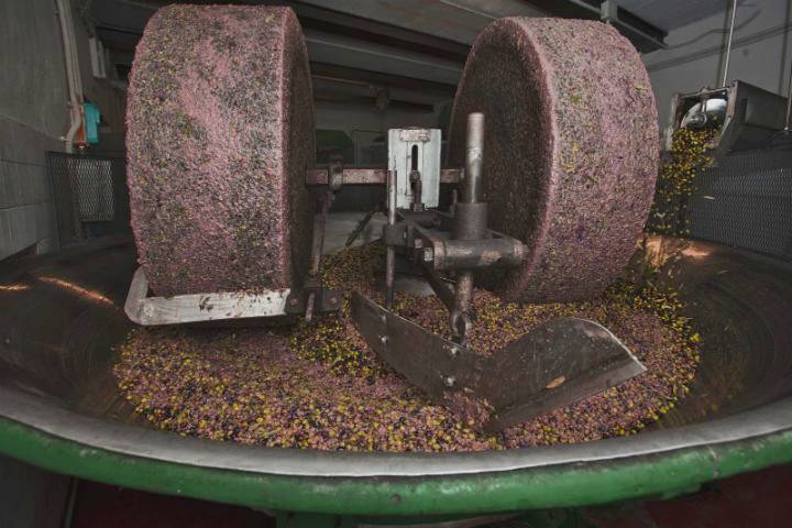 zeytinyağı kalitesi