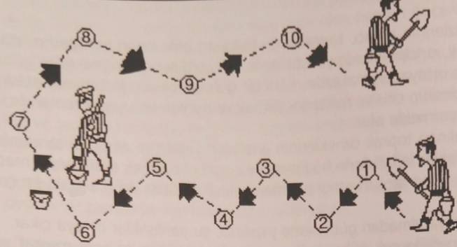 Analiz İçin Toprak Numunesi Nasıl Alınır? 2 Toprak numunesi nasıl alınır?
