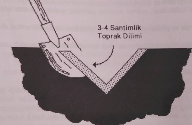 Analiz İçin Toprak Numunesi Nasıl Alınır? 3 Toprak numunesi nasıl alınır?
