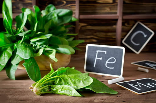 Bitki Besin Elementleri ve Görevleri 2 bitki besin elementleri