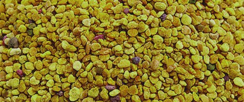 Arıcılık Ürünleri Nelerdir? Arıcılık Ürünleri Faydaları Nelerdir? 5 Polen