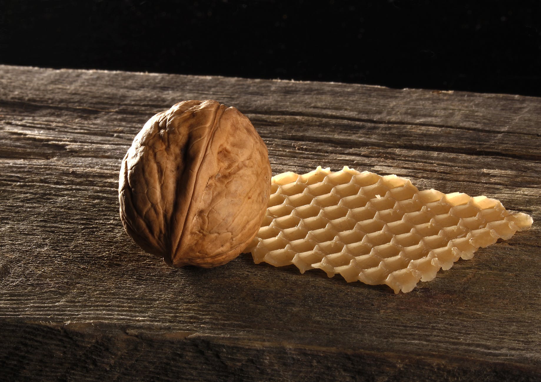 walnut honeycomb wood still life 48188