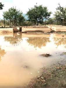 Yükseltilmiş Sebze Yatağı Nedir? Nasıl Hazırlanır? 3 10
