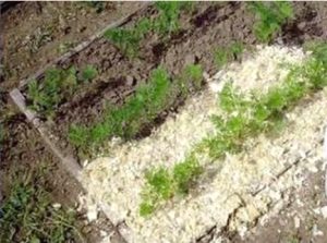 Yükseltilmiş Sebze Yatağı Nedir? Nasıl Hazırlanır? 5 16