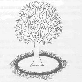 Fındıkta gübreleme