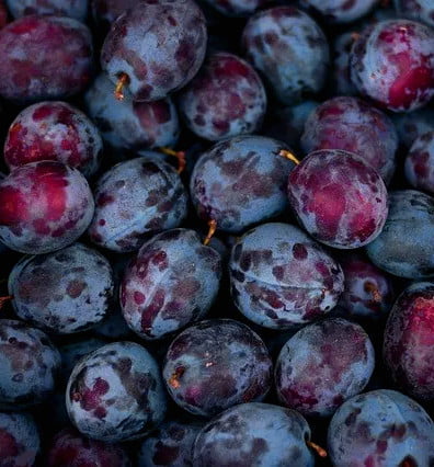 sert c387ekc4b0rdeklc4b0 meyvelerde c59earka vc4b0rc39csc39c1