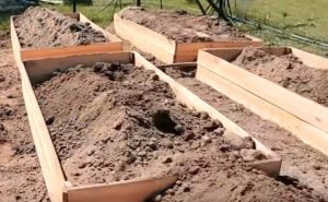 Yükseltilmiş Sebze Yatağı Nedir? Nasıl Hazırlanır? 6 yükseltilmiş sebze yatağı