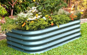 Yükseltilmiş Sebze Yatağı Nedir? Nasıl Hazırlanır? 7 yükseltilmiş sebze yatağı