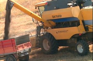 Screenshot 20200915 110744