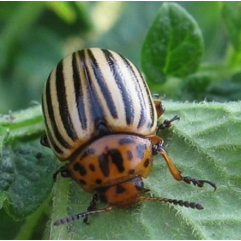 inCollage 20201216 234227783 min