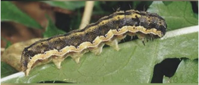 Screenshot 20211022 111024