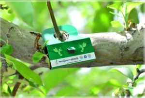 Biyolojik bitki koruma ürünü