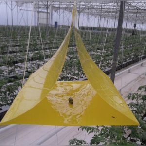 Reçeteli Satışı Zorunlu Olmayan Bitki Koruma Ürünleri