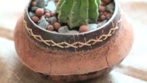 Saksıdaki Çiçeğin Solmaması İçin 5 İpucu 2 Saksıdaki Çiçeğin Solmaması İçin 5 İpucu