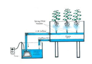 Topraksız Tarım Maliyeti ve Çeşitleri Nelerdir? 2 TOPRAKSIZ TARIM