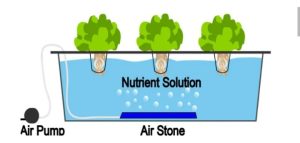 Topraksız Tarım Maliyeti ve Çeşitleri Nelerdir? 3 TOPRAKSIZ TARIM