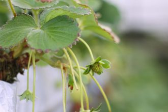 pexels pok rie 33563 168573 2