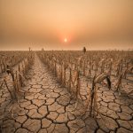 İklim değişikliği