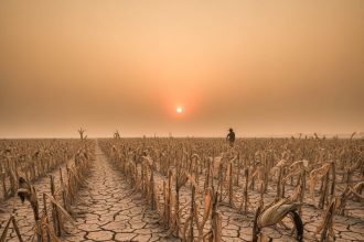 İklim değişikliği