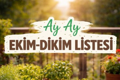 Ay Ay Ekim-Dikim Listesi