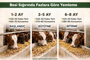 Rasyon düzenleyerek performans artırma