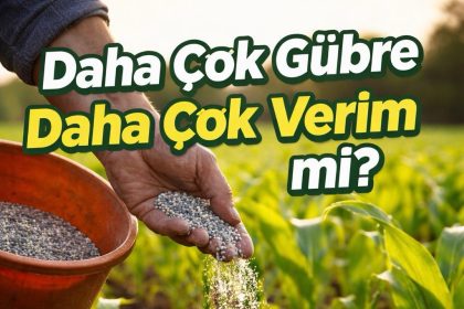 Daha çok gübre daha çok verim mi?