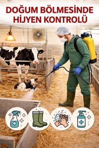 Mastitis Nedir? Erken Belirtiler, Subklinik Mastitis ve Sağım Hijyeni ile Korunma 8 Mastisis nedir?