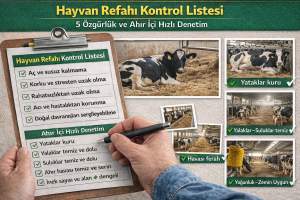 Hayvancılıkta Yanlış Bilinen 10 Şey (Doğru Bilinen Yanlışlar) 7 Hayvancılıkta Yanlış Bilinen 10 Şey