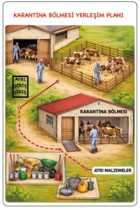 Hayvancılıkta Biyogüvenlik