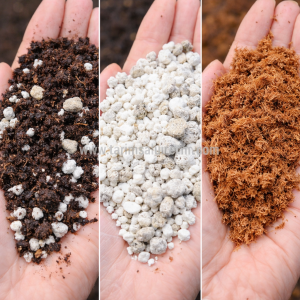 saksı toprağı karışımı