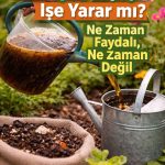 Kompost Cayi Ise Yarar mi Ne Zaman Faydali Ne Zaman Degil 1 1