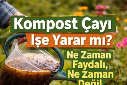 Kompost Cayi Ise Yarar mi Ne Zaman Faydali Ne Zaman Degil 1 1