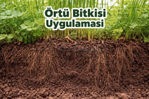 verimi artıran 3 uygulama