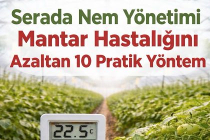 Serada nem yönetimi