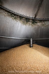 hasat sonrası depolama