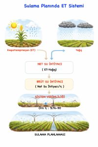 mm’den L/m²’ye hesap 