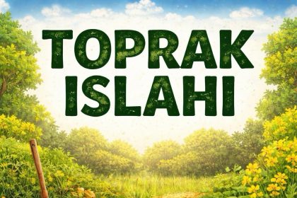 TOPRAK ISLAHI