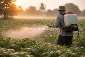 Kompost Çayı İşe Yarar mı