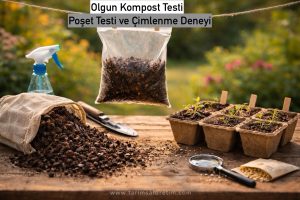 olgun kompost testi nasıl yapılır