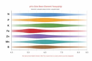Toprak Analizi Raporu Okuma