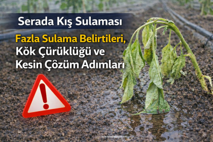 serada kış sulaması