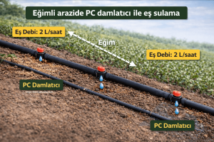 Damla Sulama Projelendirme: Debi, Filtre, Hat Çapı ve Damlatıcı Seçimi 6 Damla sulama projelendirme
