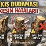 F13434ED 345A 4838 8681 05CAF26A676D