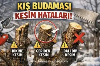 F13434ED 345A 4838 8681 05CAF26A676D