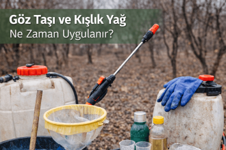 göz taşı ve kışlık yağ uygulaması