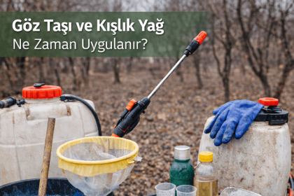 göz taşı ve kışlık yağ uygulaması