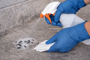 ambar ve depolarda fare ve sıçanlar 