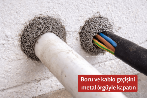 ambar ve depolarda fare ve sıçanlar 