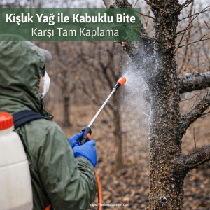 göz taşı ve kışlık yağ uygulaması 